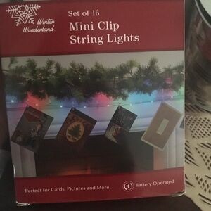 Festive Multi-Color Battery Operated Mini Clip String Lights